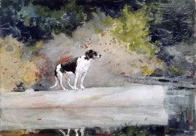 Dog on a Log 1889 by Winslow Homer