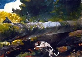 Hunting Dog among dead trees 1894 by Winslow Homer Hunting Dog among dead trees 1894 by Winslow Homer