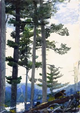 Old Settlers 1892 by Winslow Homer Old Settlers 1892 by Winslow Homer