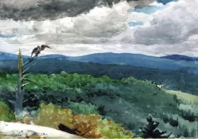 Hilly Landscape 1894 by Winslow Homer