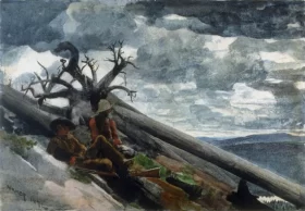 Burnt Mountain 1892 by Winslow Homer