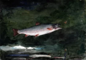 Leaping Trout 1889 by Winslow Homer Leaping Trout 1889 by Winslow Homer