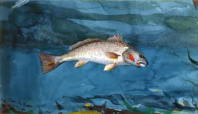 Channel Bass 1904 by Winslow Homer Channel Bass 1904 by Winslow Homer