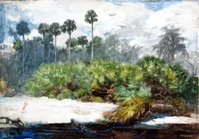 In a Florida Jungle by Winslow Homer In a Florida Jungle by Winslow Homer