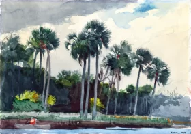 Red Shirt, Homosassa, Florida, 1904 by Winslow Homer Red Shirt, Homosassa, Florida, 1904 by Winslow Homer