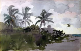 Coconut Palms, 1890s) by Winslow Homer Coconut Palms, 1890s) by Winslow Homer