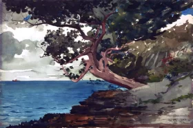 Bermuda 1900 by Winslow Homer Bermuda 1900 by Winslow Homer