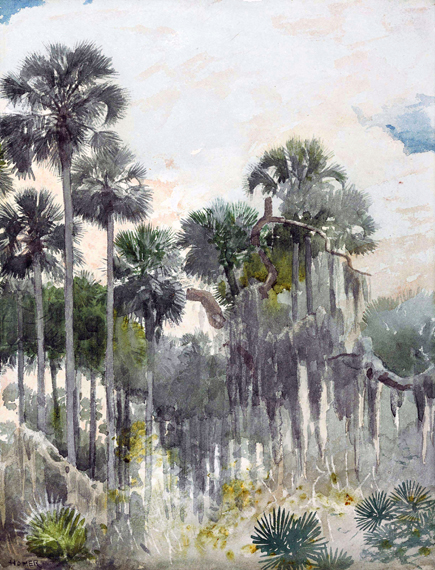 Florida Jungle 1886 by Winslow Homer, oil painting reproduction on canvas Florida Jungle 1886 by Winslow Homer