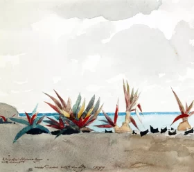 Nassau Beach with Century Plants 1899 by Winslow Homer Nassau Beach with Century Plants 1899 by Winslow Homer