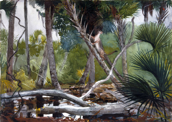 In the Jungle, Florida 1904 by Winslow Homer, oil painting reproduction on canvas In the Jungle, Florida 1904 by Winslow Homer