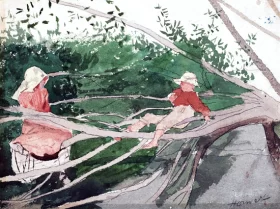 Out on a Limb 1878 by Winslow Homer Out on a Limb 1878 by Winslow Homer