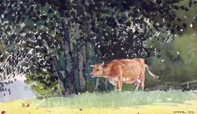 Cow in Pasture, 1878 by Winslow Homer Cow in Pasture, 1878 by Winslow Homer