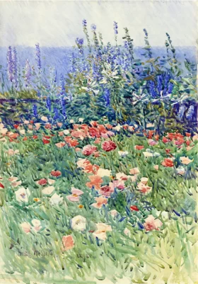 Flower Garden, Isles of Shoals 1893 by Childe Hassam
