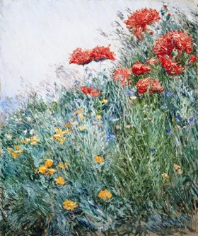 Poppies Appledore by Childe Hassam