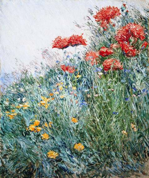 Poppies Appledore by Childe Hassam, oil painting reproduction on canvas Poppies Appledore by Childe Hassam