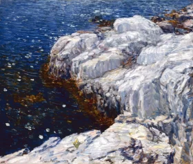 Jelly Fish 1912 by Childe Hassam