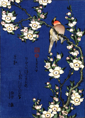 Robin on a branch of cherry blossom by Katsushika Hokusai Robin on a branch of cherry blossom by Katsushika Hokusai