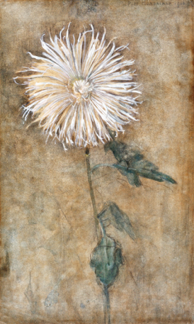 Chrysanthemum 1900 by Piet Mondrian Chrysanthemum 1900 by Piet Mondrian